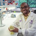 a man in a white lab coat sits at a bench holding a container of small round green fruit